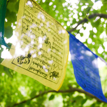 Load image into Gallery viewer, Tibetan Prayer Flags